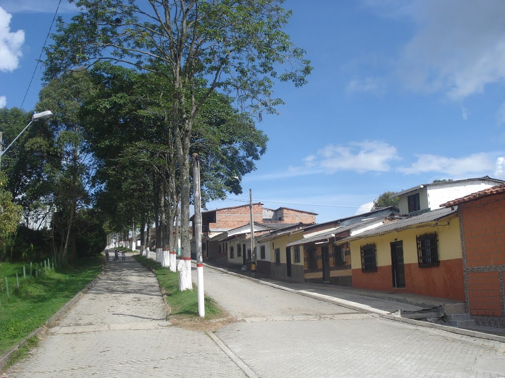 Calle de los guayacanes eje del barrio Obrero by alejandrino tobon