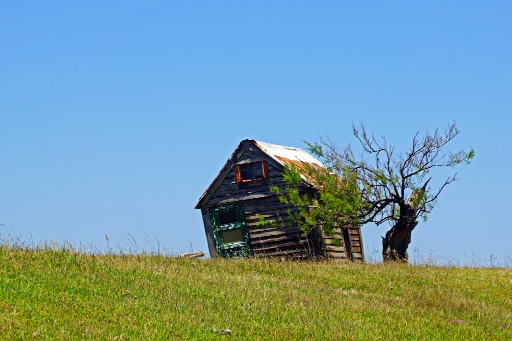 Bending hut & bending tree by andreisss