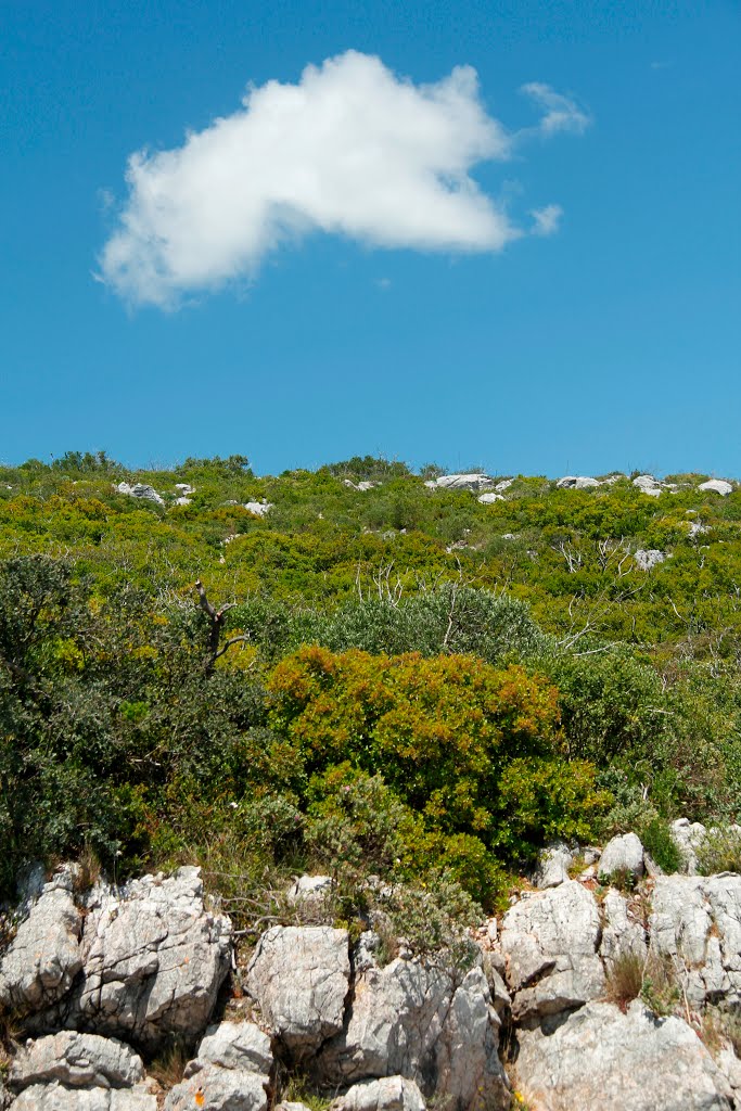 Serra da Arrábida by Abílio Martins