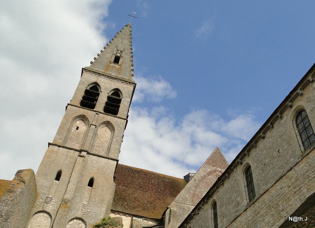 L'abbaye Saint-Pierre-et-Saint-Paul - Ferrières en Gâtinais by n@th.j