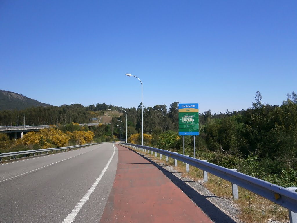 Camino portugués, Gándaras de Budiño by Embarcadeiro