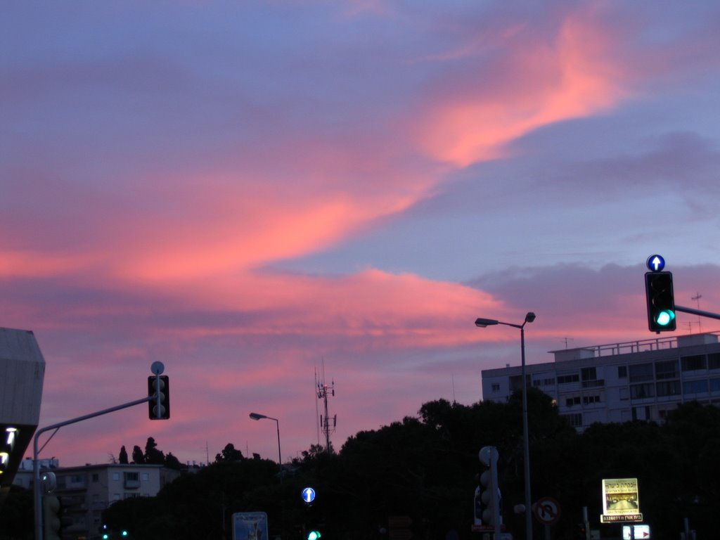 Haifa, Israel by Neacsu Catalin