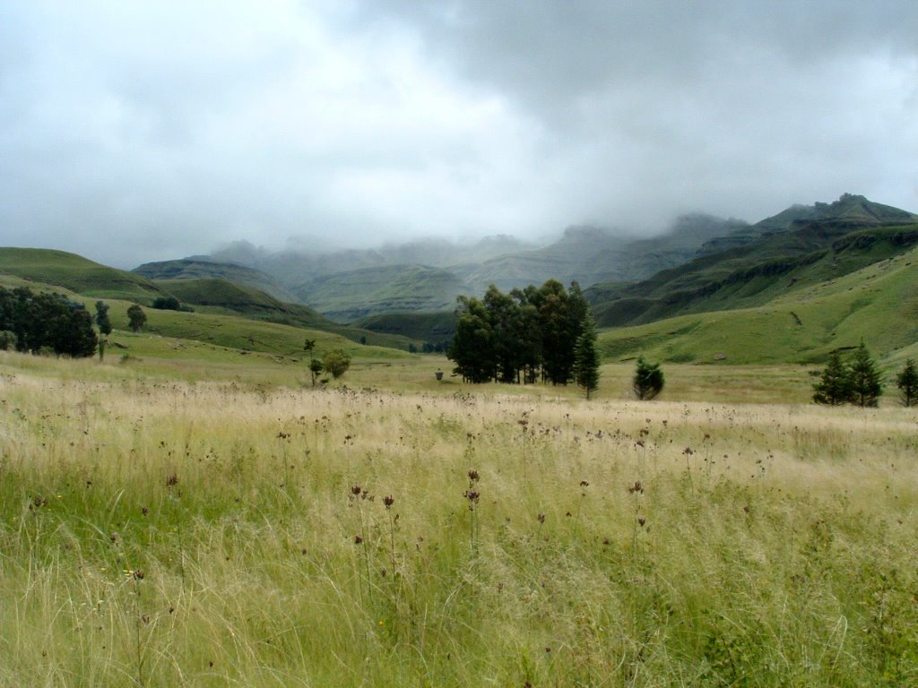 Looking west across the Mlambonja River by Michael Cookson