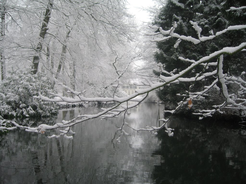 Parkvijver Randenbroekerbos, Winter 2007 by A. Lubach