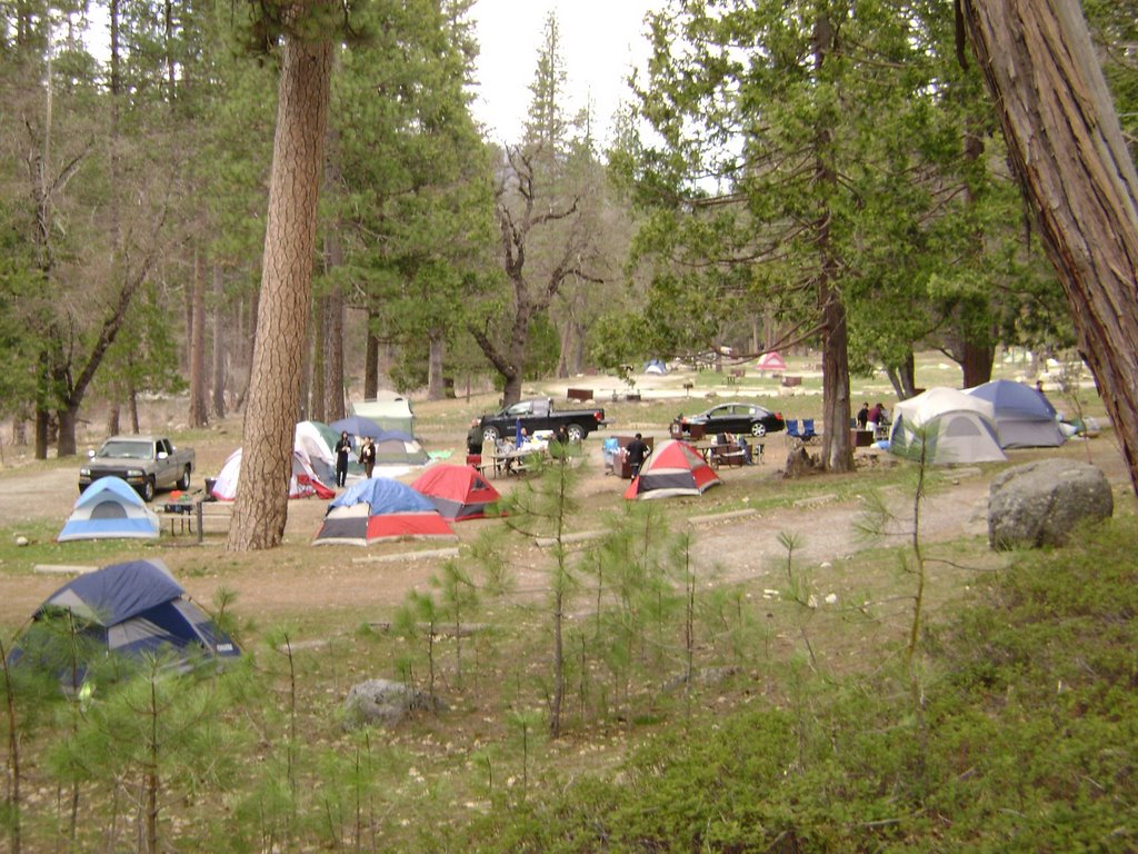 Groupsite 1 In Wawona Campground by wssnwhttr