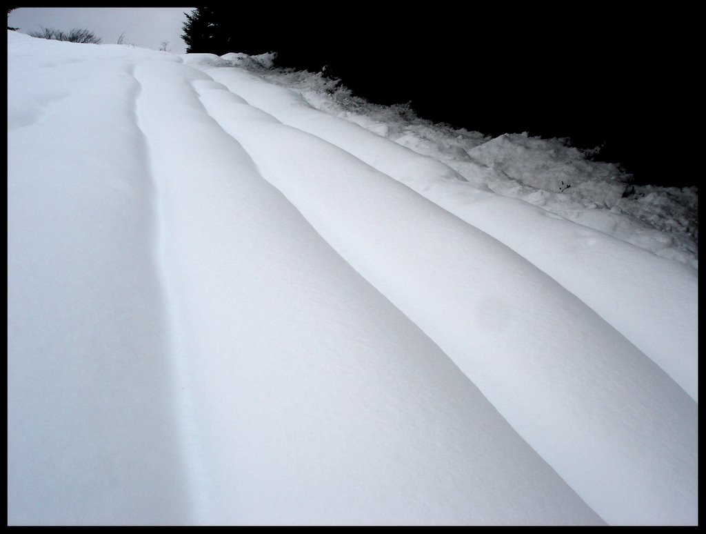 Nieve de camino al Gorbea by alvaro bellido