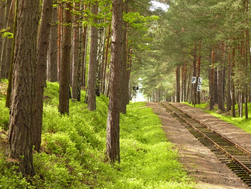 Waldeisenbahn Muskau by mathias.b