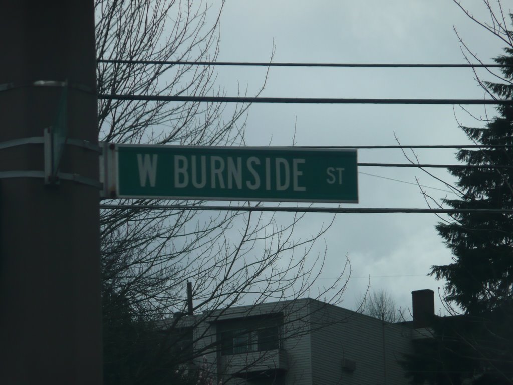 Burnside streetsign (inspiration for Montgomery Burns) by dentaku