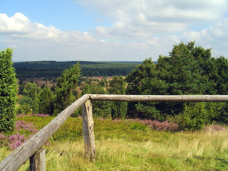 Blick vom Wilseder Berg by berni1948