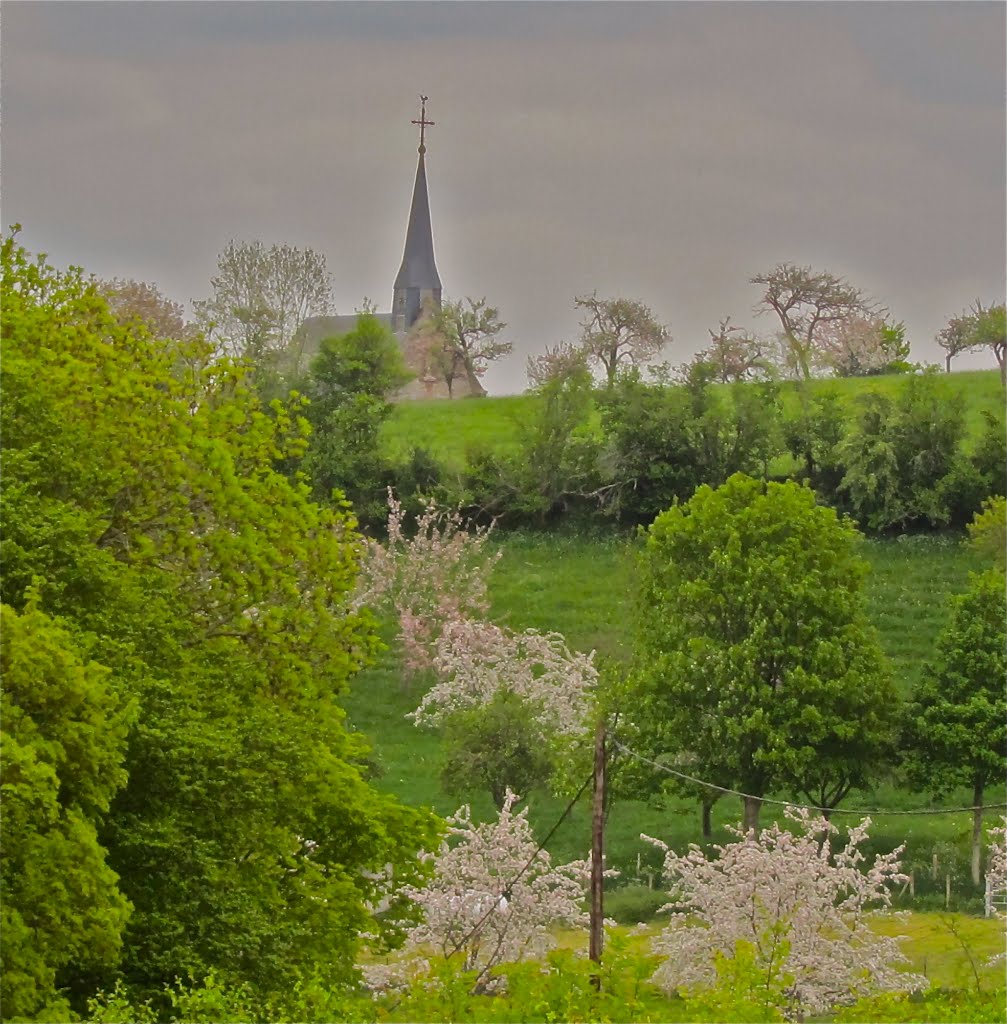 Eglise de Saint-Germain-de-Montgommery (Calvados) by daniel wilk