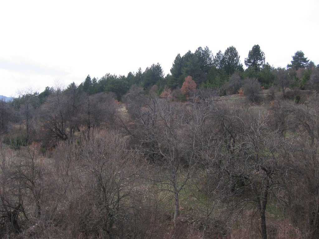 Rakovo-Bulgaria by sv_nikova