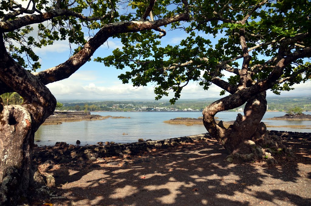 2013-05-11 View of Hilo from place where ancient Heiau (Hawaiian temple) used to be - before they built there a parking lot. by Andrew Stehlik