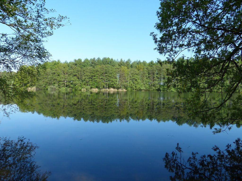 Hohenlockstedt...an der Lohmühle...Blick auf den Mühlenteich by Lullabay 61