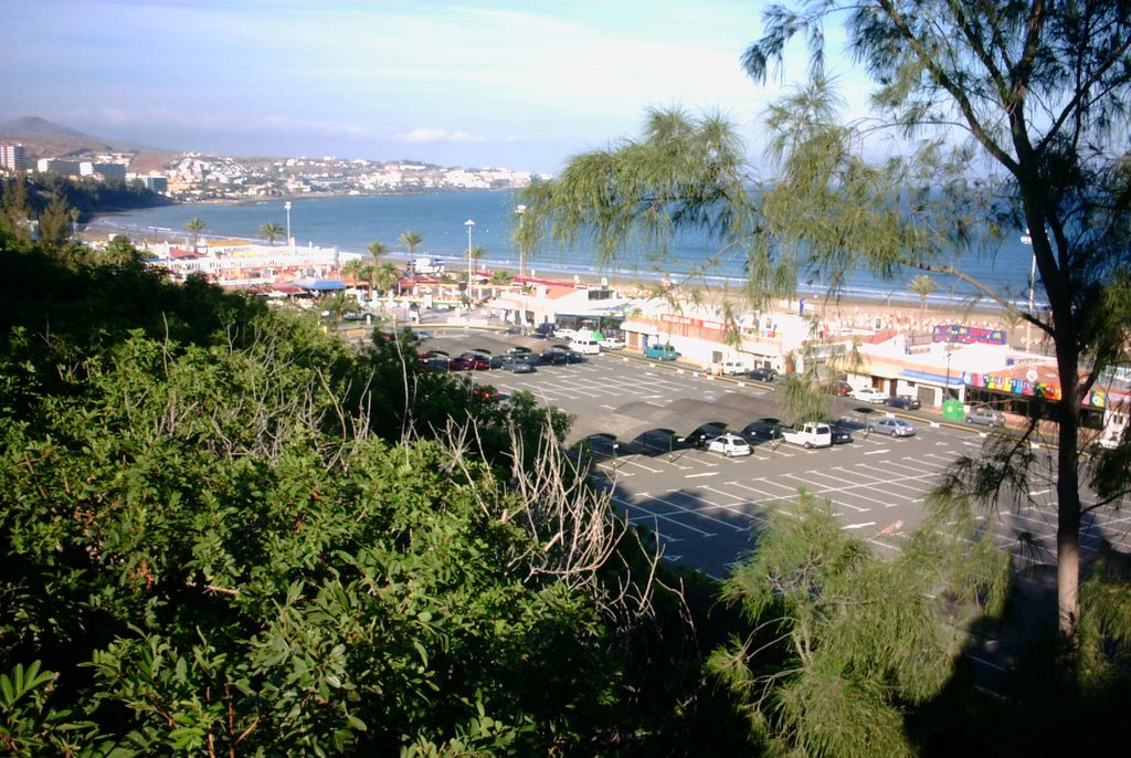 Strandpromenade von Playa del Ingles by snowi63