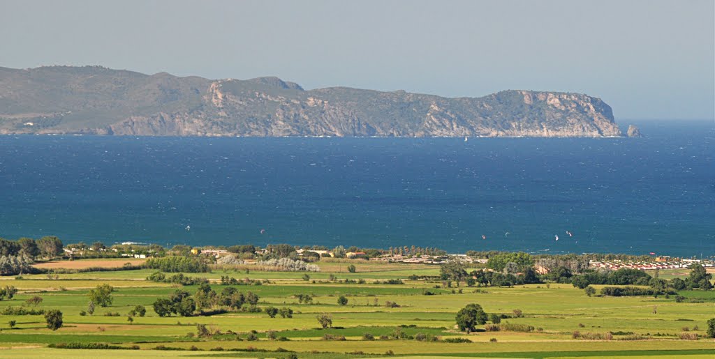 Els colors de la primavera es fusionen amb el mediterrani by Pau Vilanova