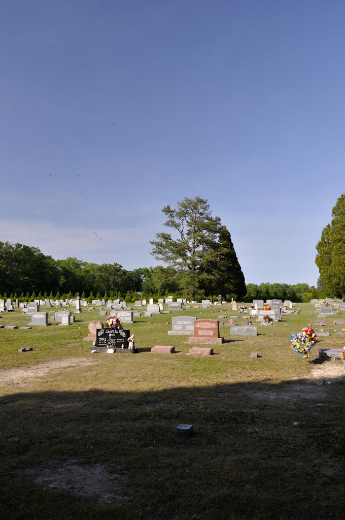 VIRGINIA: MATHEWS: BOHANNON: Providence Cemetery on East River Road (S.R. 660) at Providence Road (S.R. 687) by Douglas W. Reynolds, Jr.