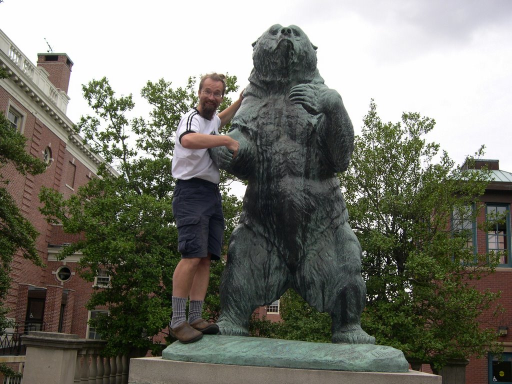 Brown Bear photo op by gerold.firl