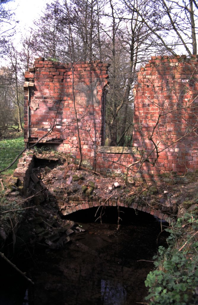 Whitley Willows Lepton - Derelict Chemical Works by s.smith5483