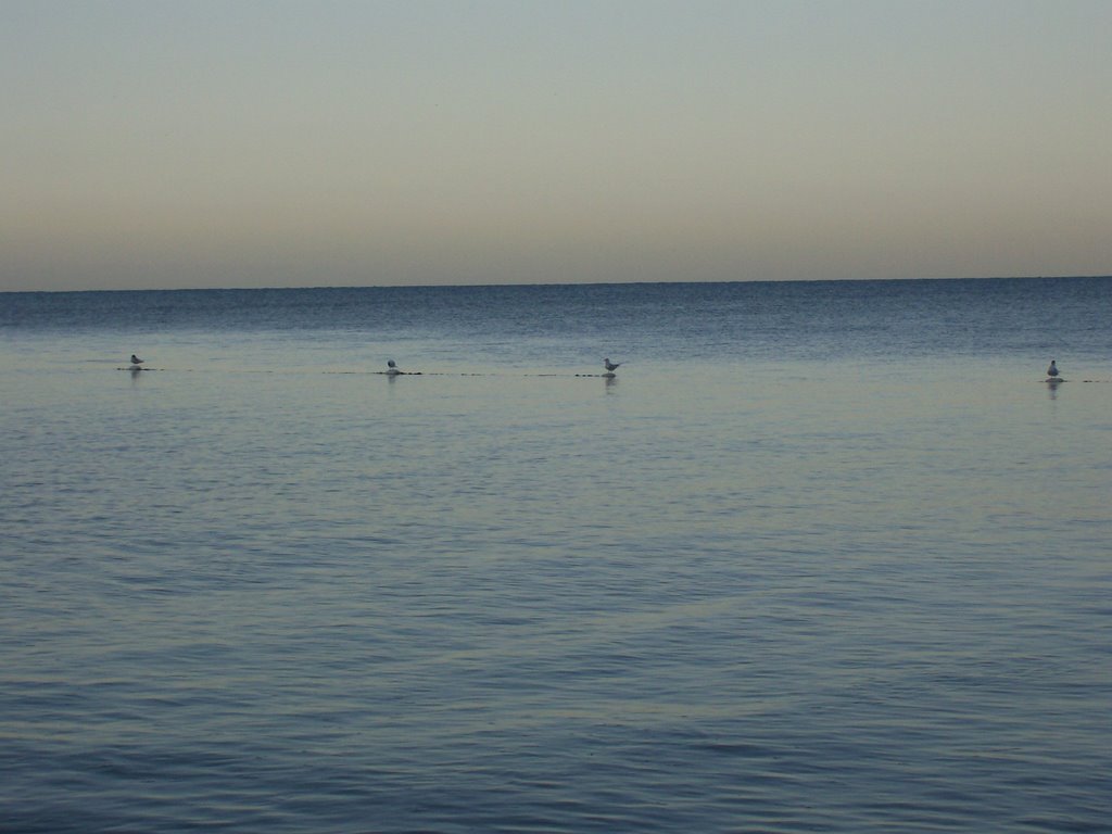 Early Morning at Mojacasabe Beach by Nieves Aponte