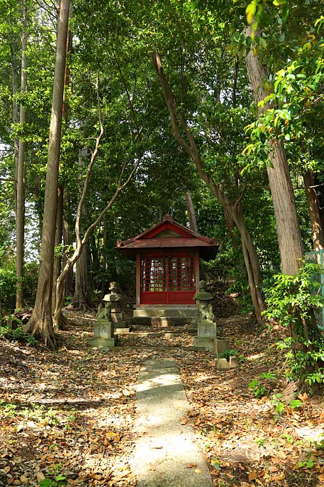 Inari-jinja shrine by nutakku