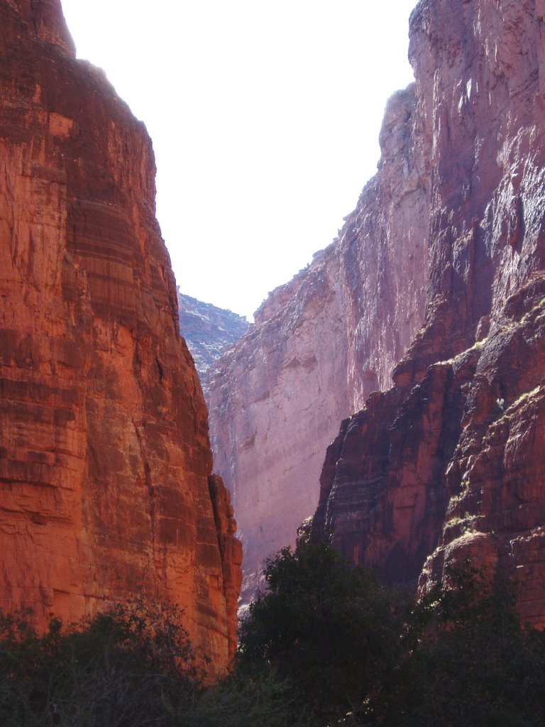 Canyon Wall Colors, Saddle Canyon by jerigrandy