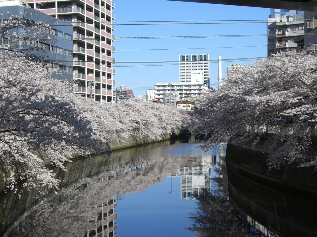 Kamenokoubashi by m-sato