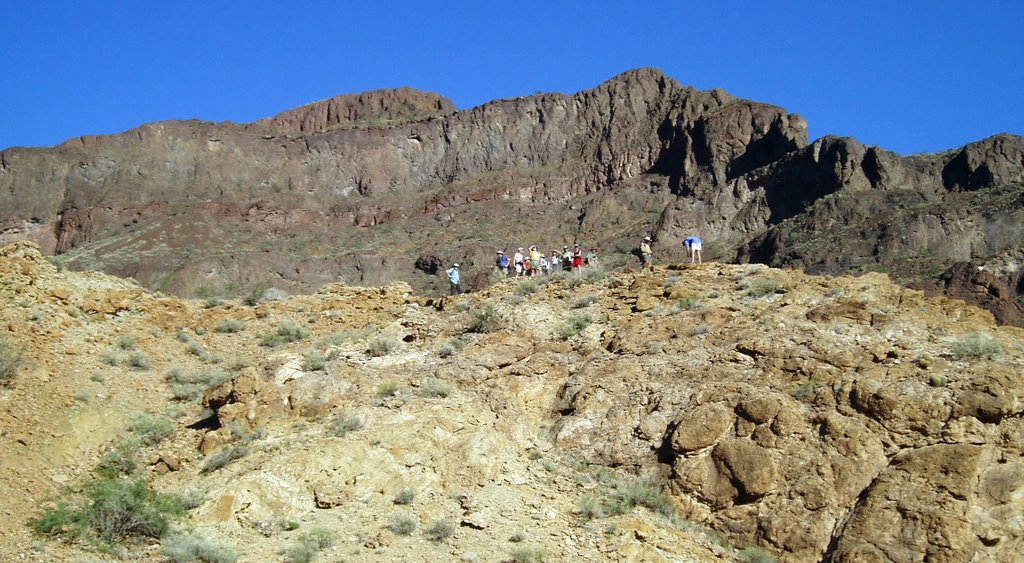 Cardenas Basalt from Precambrian Lava Flow by jerigrandy