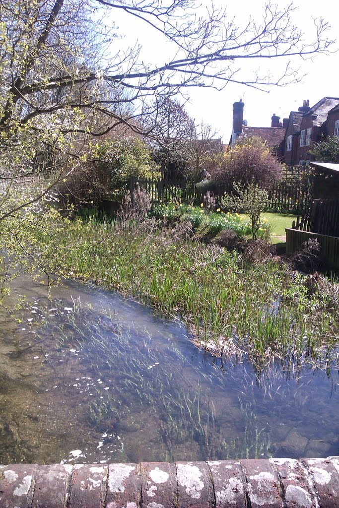 Stream behind the houses in the High Street, Old Amersham by kazgodfrey