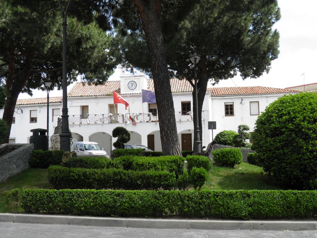 Plaza de la constitución by ANDRES SIMÓN