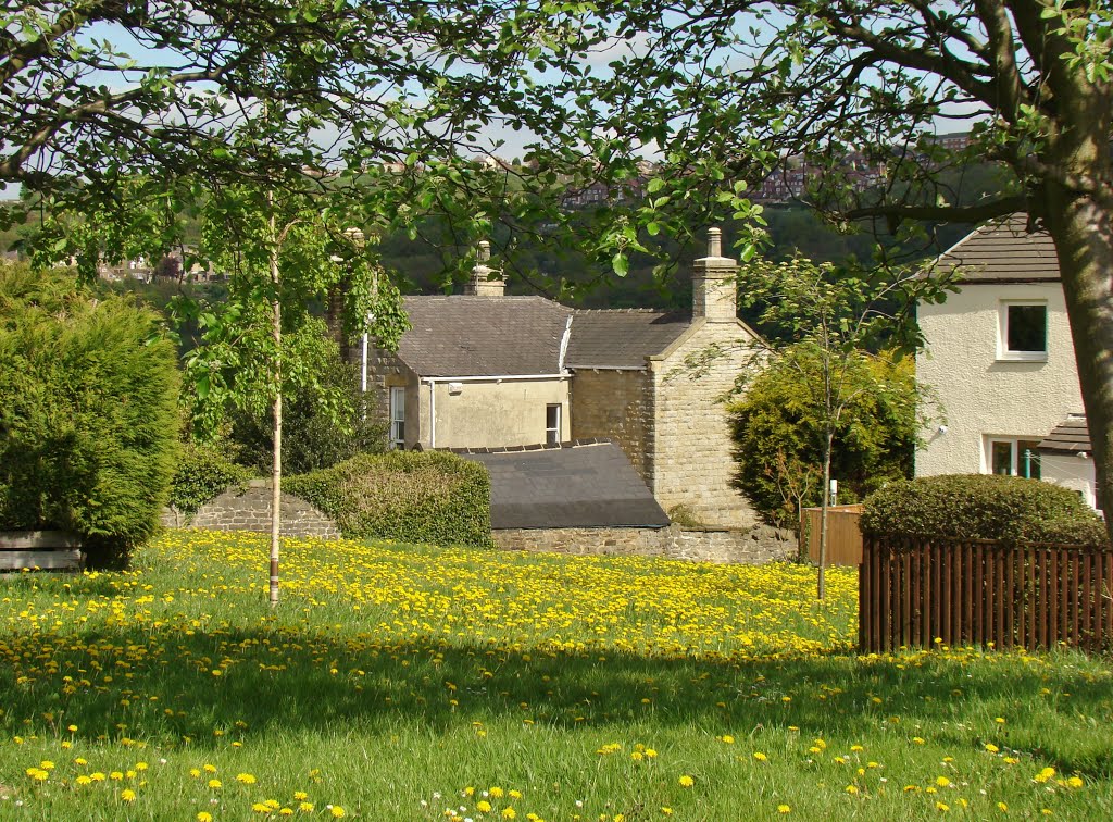 Springtime scene looking towards Onchan Road detached house, Stannington, Sheffield S6 by sixxsix