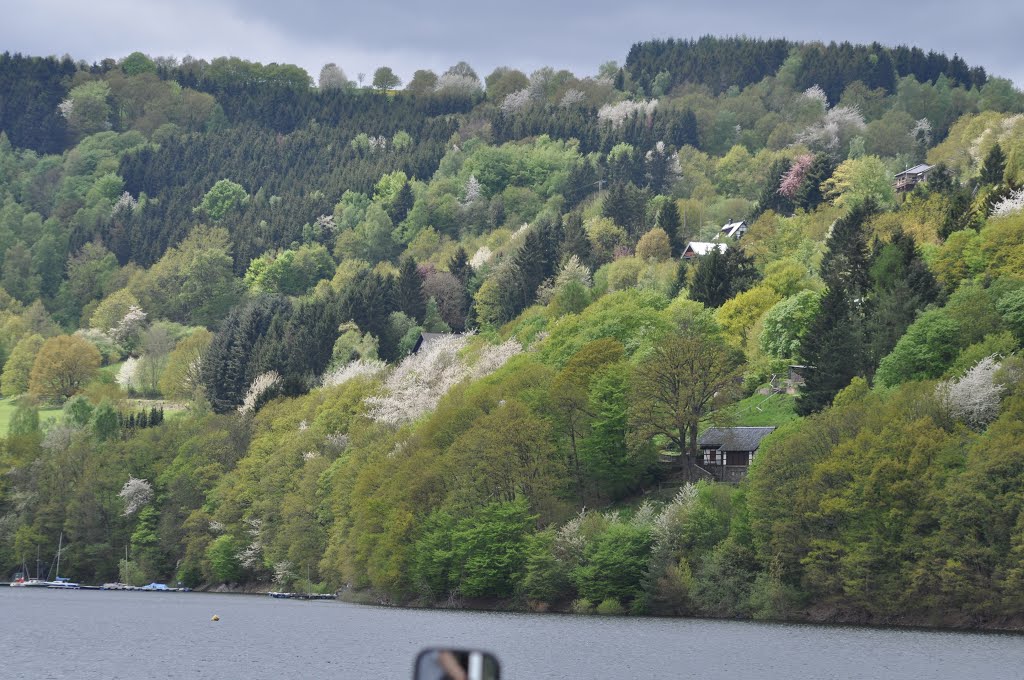 Nationalpark-Eifel.Woffelsbach--Deutschland. by puhu123