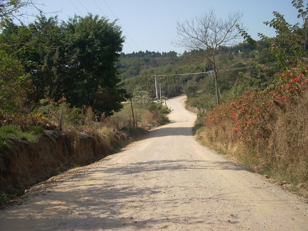 Estrada do Barão - Bairro do Paratei de Baixo - Zona Rural de Jacareí - São Paulo - Brasil by toninhochaves