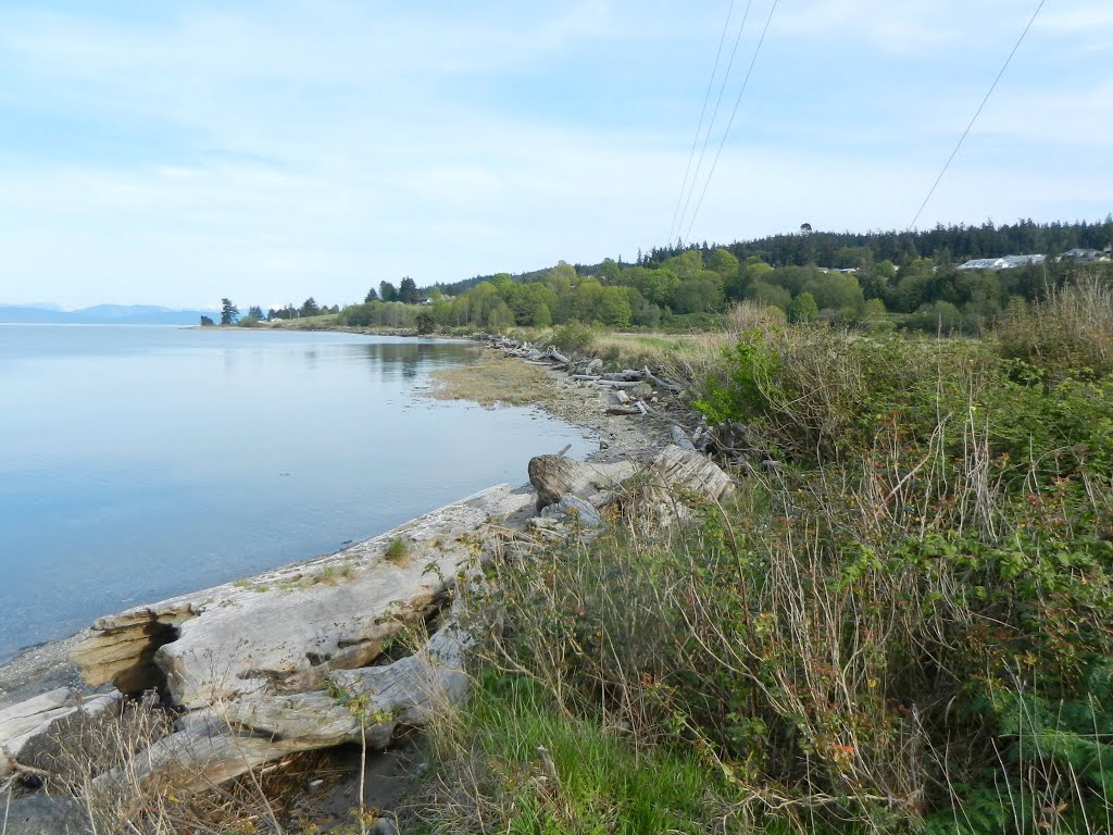 Dugualla Bay, Dugualla Dike Rd, Oak Harbor WA by Midnight Rider