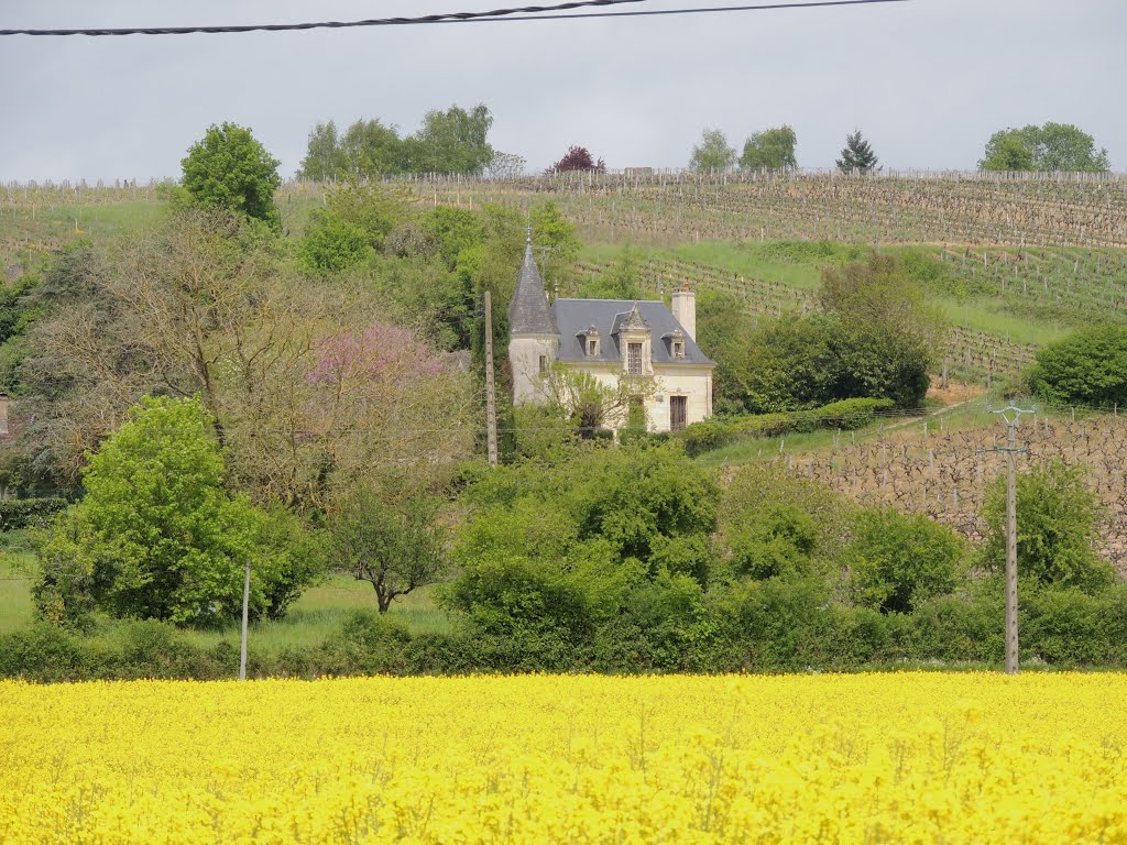 Manoir dans les vignes des Jasnières by blandinem