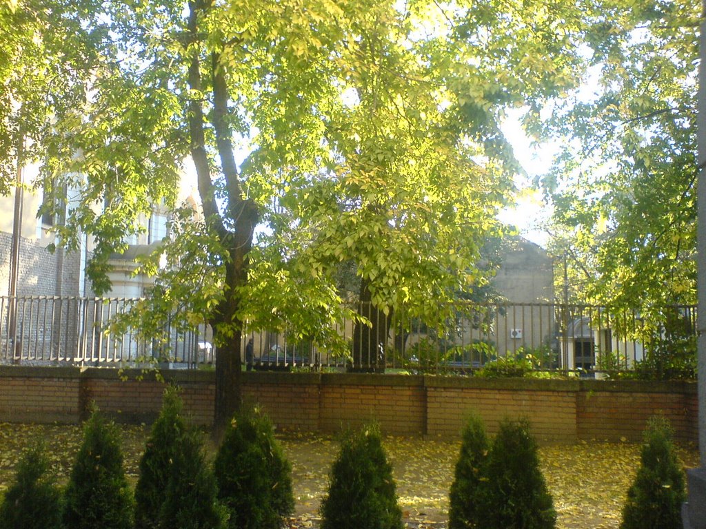 Plateau near yard of Orthodox Church by Neon Nash