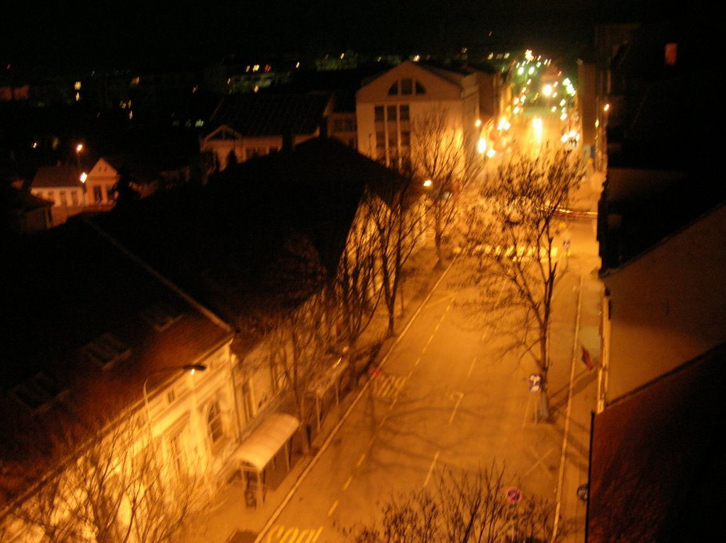 Zeleznicka ulica by night by Neon Nash