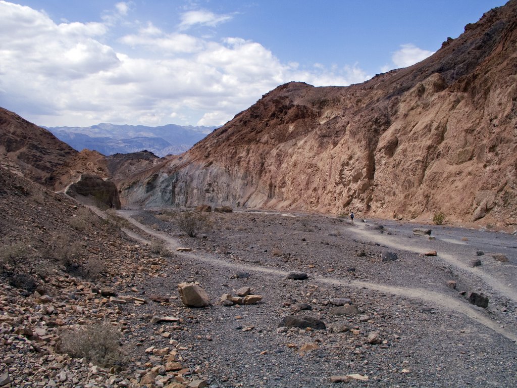 Death Valley Mosaic Canyon (1) by oopsilon