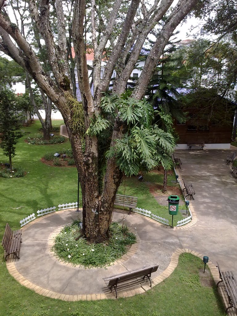 Lugar de oração - Jardim capela da Unesp by Luiz Henrique Luvizutto