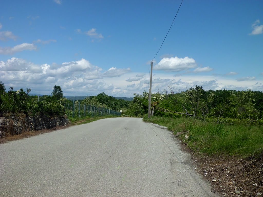 Candia Canavese-Via Cascine by Lorenzo Pavetto