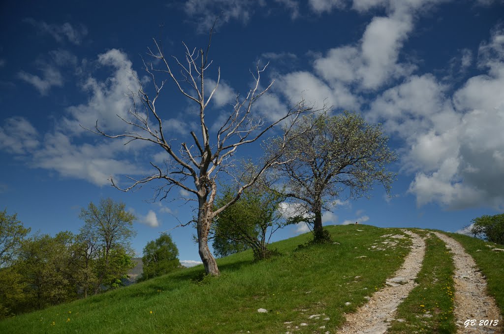 Road to the heaven by GabrieleB.77