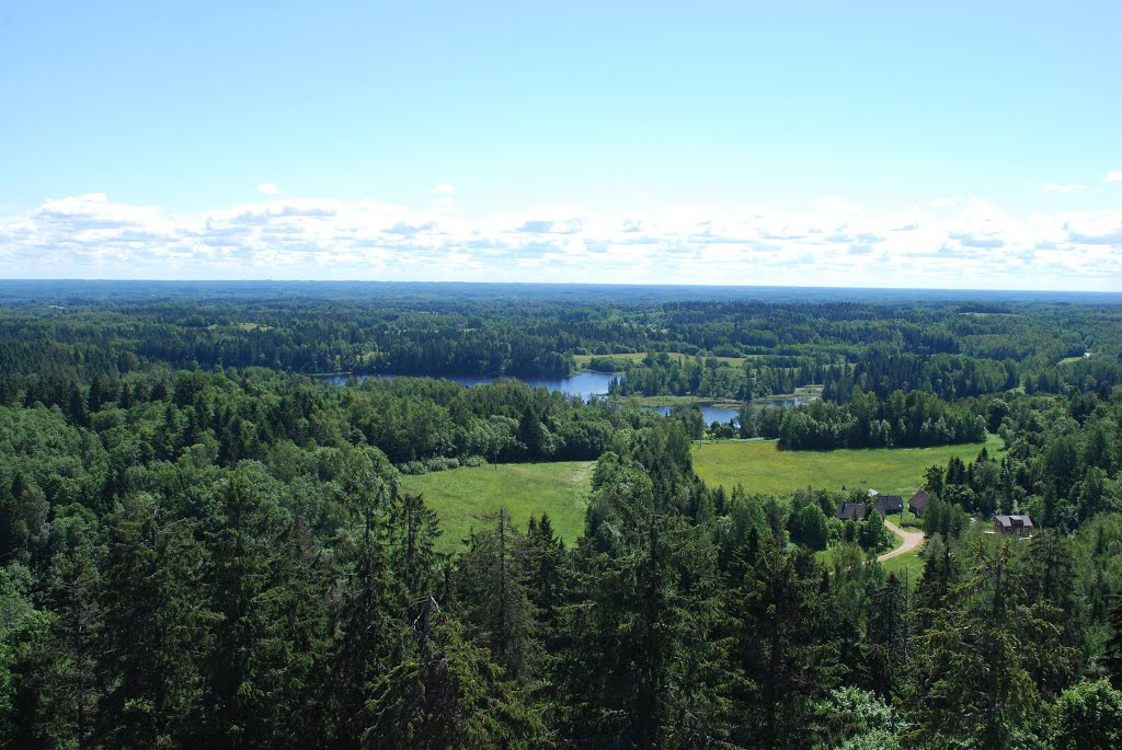 View from the tower at Suur Munamågi by Peter Aggerholm