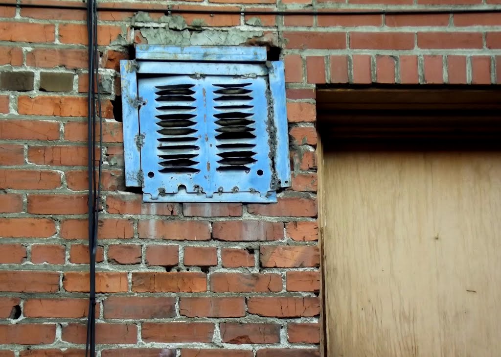 Blue grate in alley by Diane MP