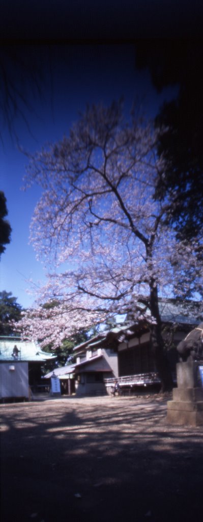 Pinhole Shinohara Shrine (2008/MAR) by MarcioTK