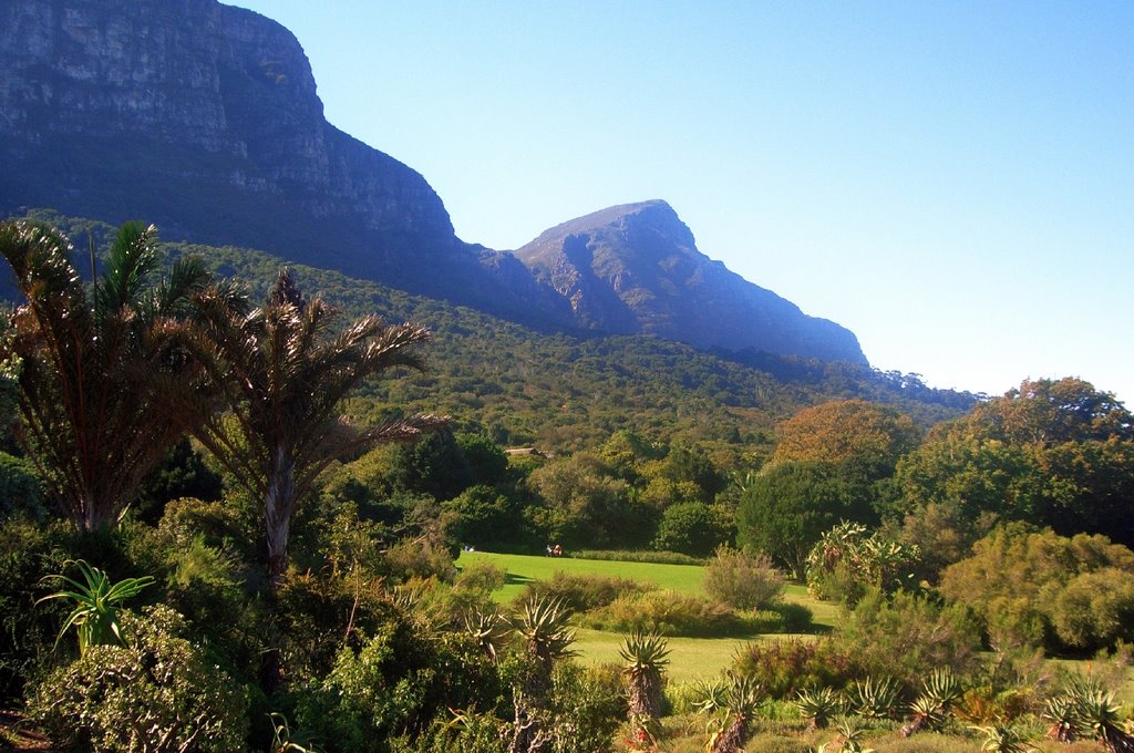 Cape Town, Kirstenbosch (Botanic Garden) by Heinz Bartels