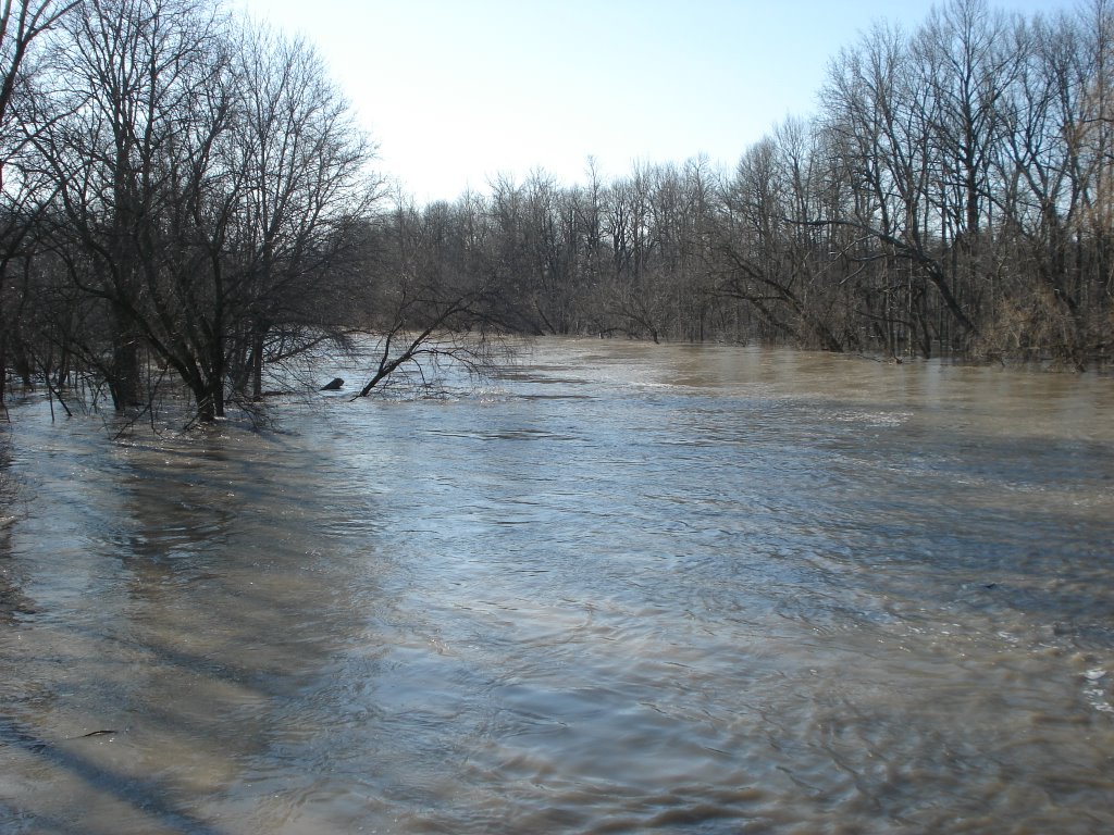 Nith River - April 2nd 2008 by Chris Sonser