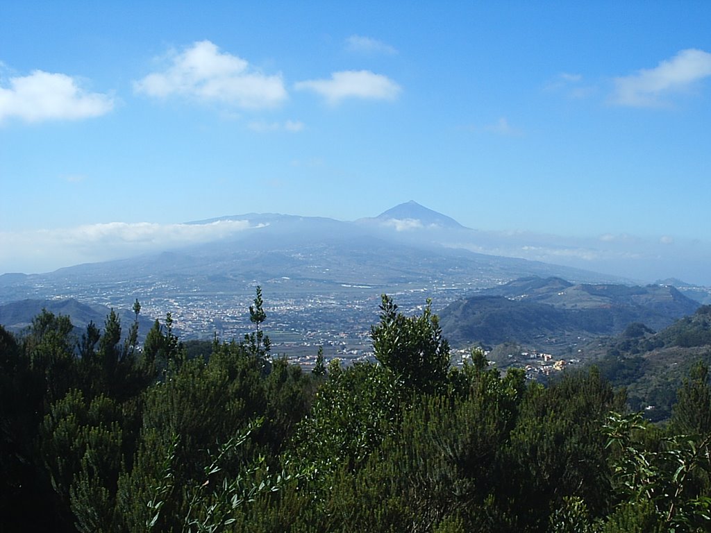 La Laguna,Mirador Cruz del Carmen by Jose T. Ibañez