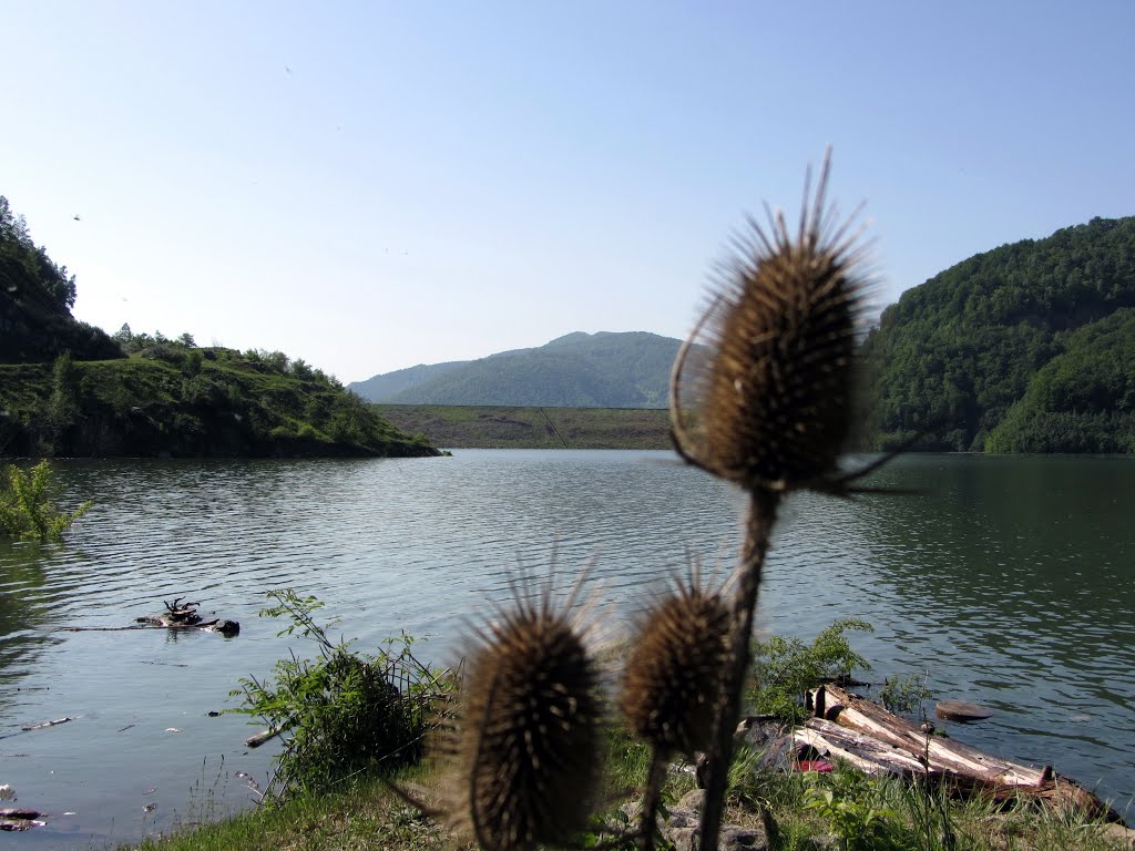 lacul Siriu by teodor cardei 1