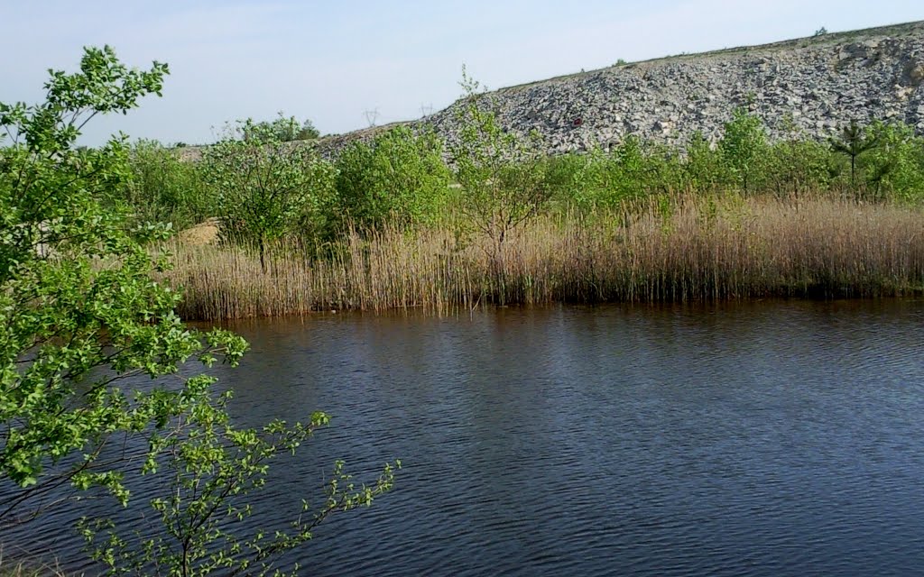 Spring in quarry by Andrut