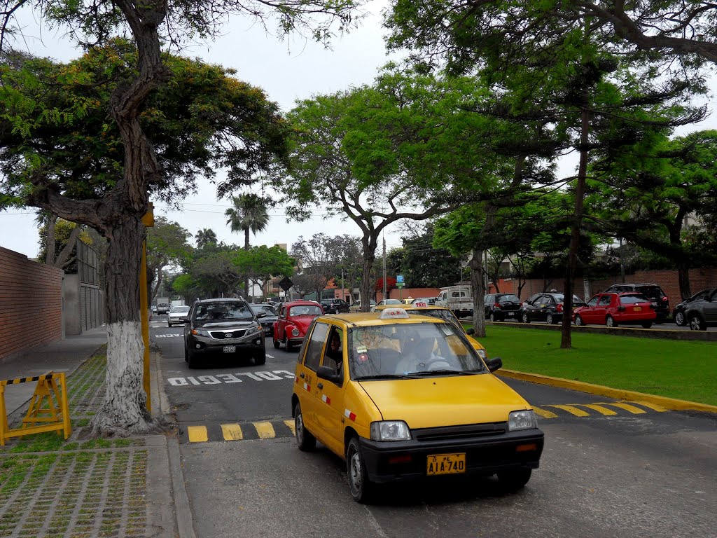 2011 / Peru / Lima / Colegia Suiça, Av. Ricardo Palma 18 by Musterplatz7