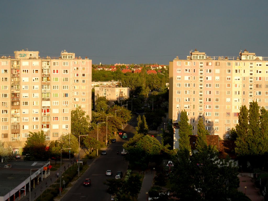 Budapest XVIII. Barta Lajos utca by lorant.orban